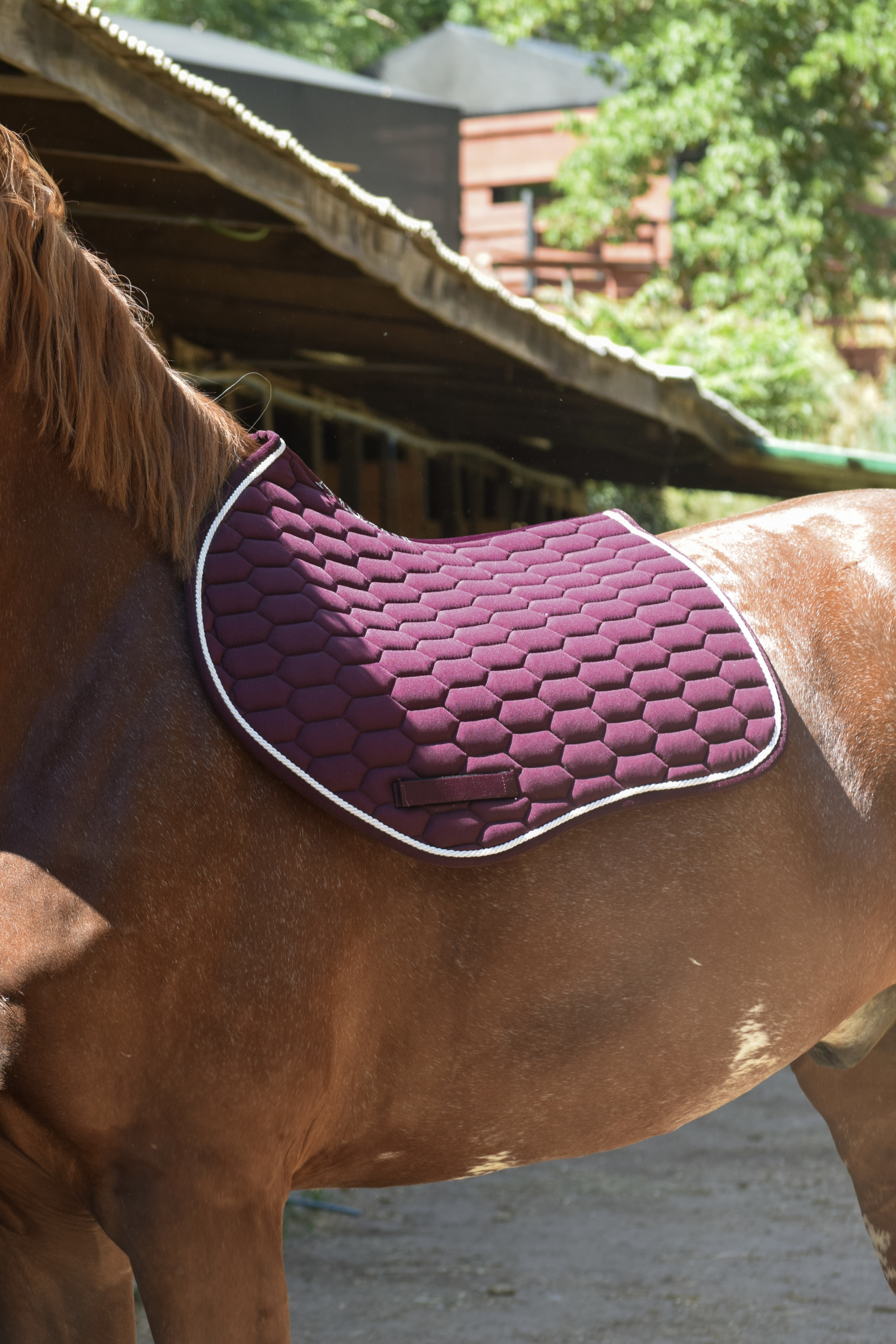 Mandil de Salto Burdeo con Cordón Blanco 2