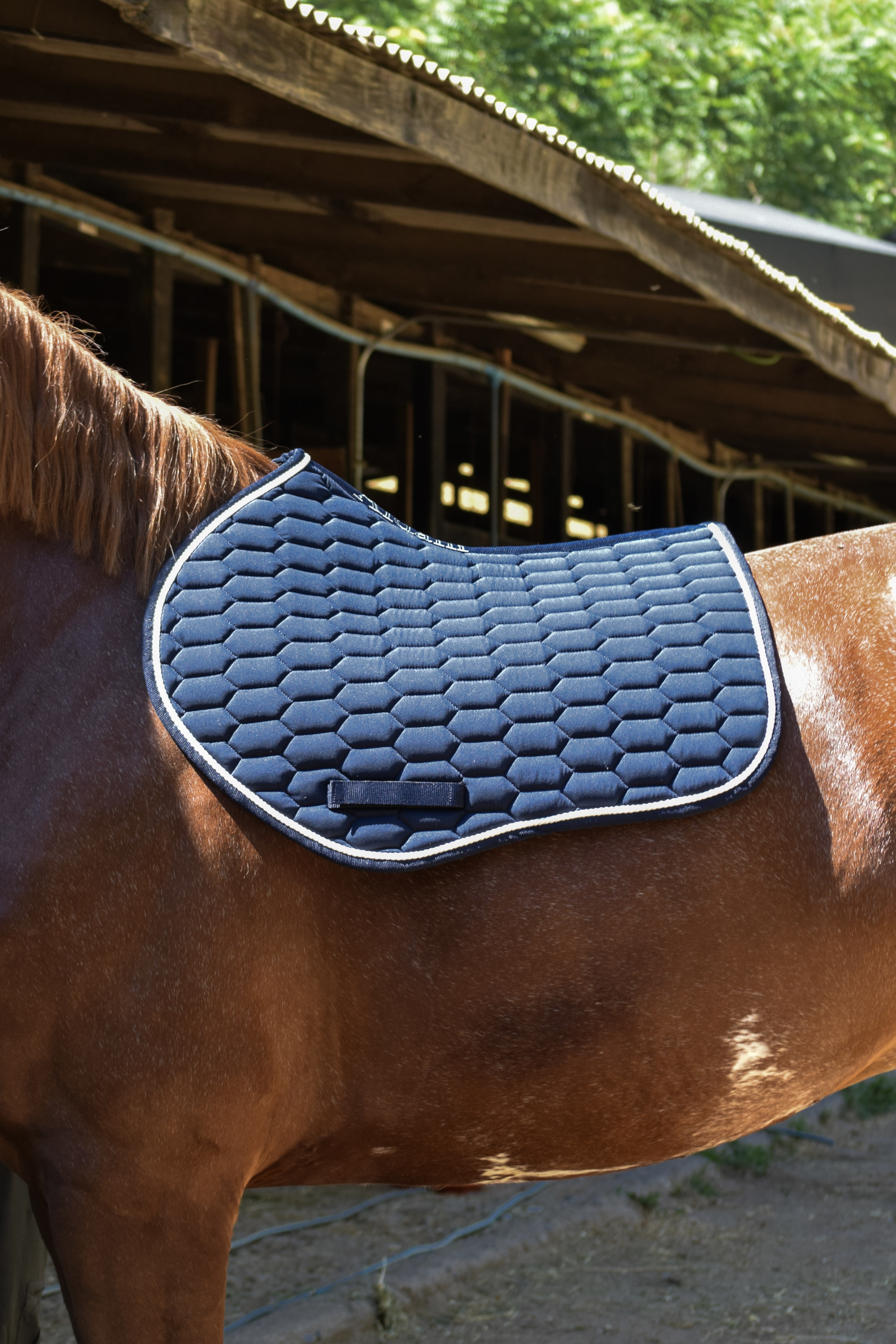 Mandil de Salto Azul Marino con Cordón Blanco 2