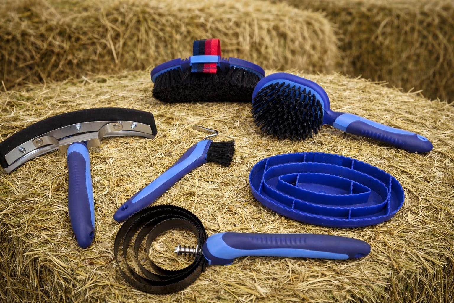 Set de Grooming Premium para Caballo – 6 Piezas 1