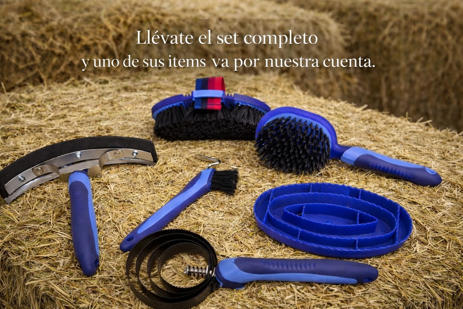 Set de Grooming Premium para Caballo – 6 Piezas 1