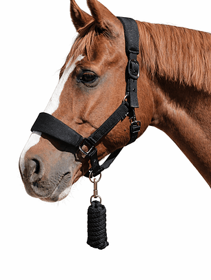 Jáquima 3D Mesh con Cabestro – Negro