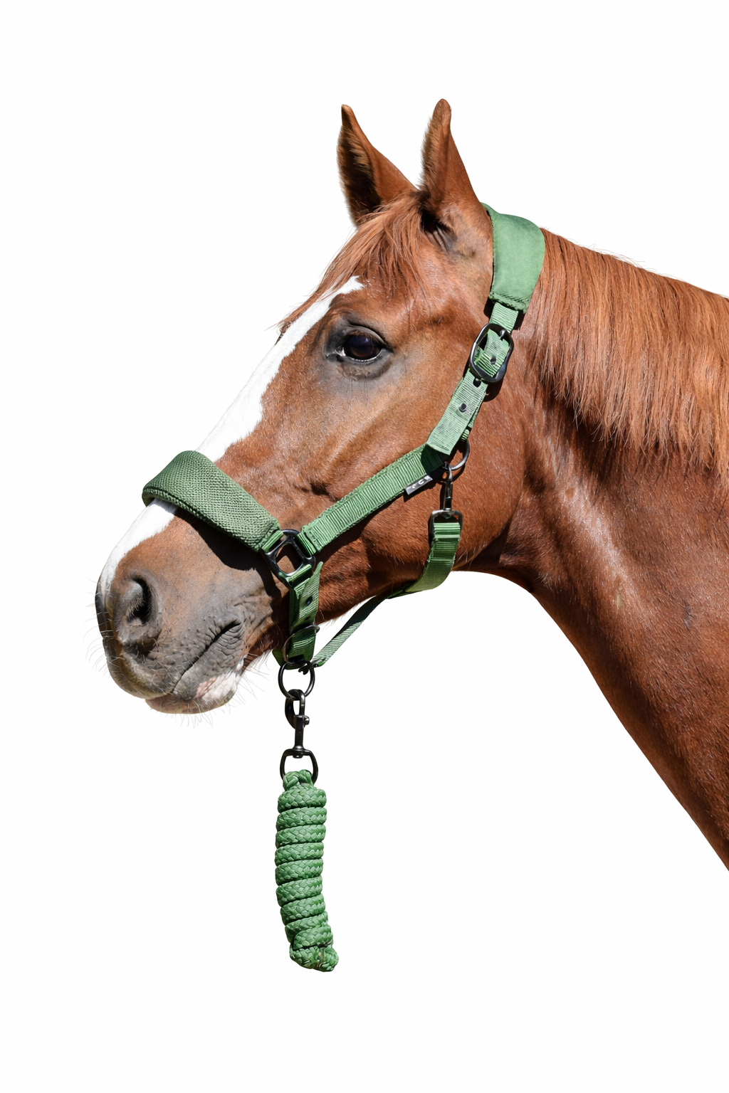 Jáquima 3D Mesh con Cabestro – Verde 1