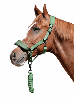 Jáquima 3D Mesh con Cabestro – Verde