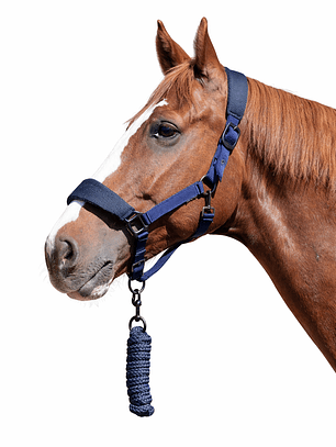 Jáquima 3D Mesh con Cabestro – Azul