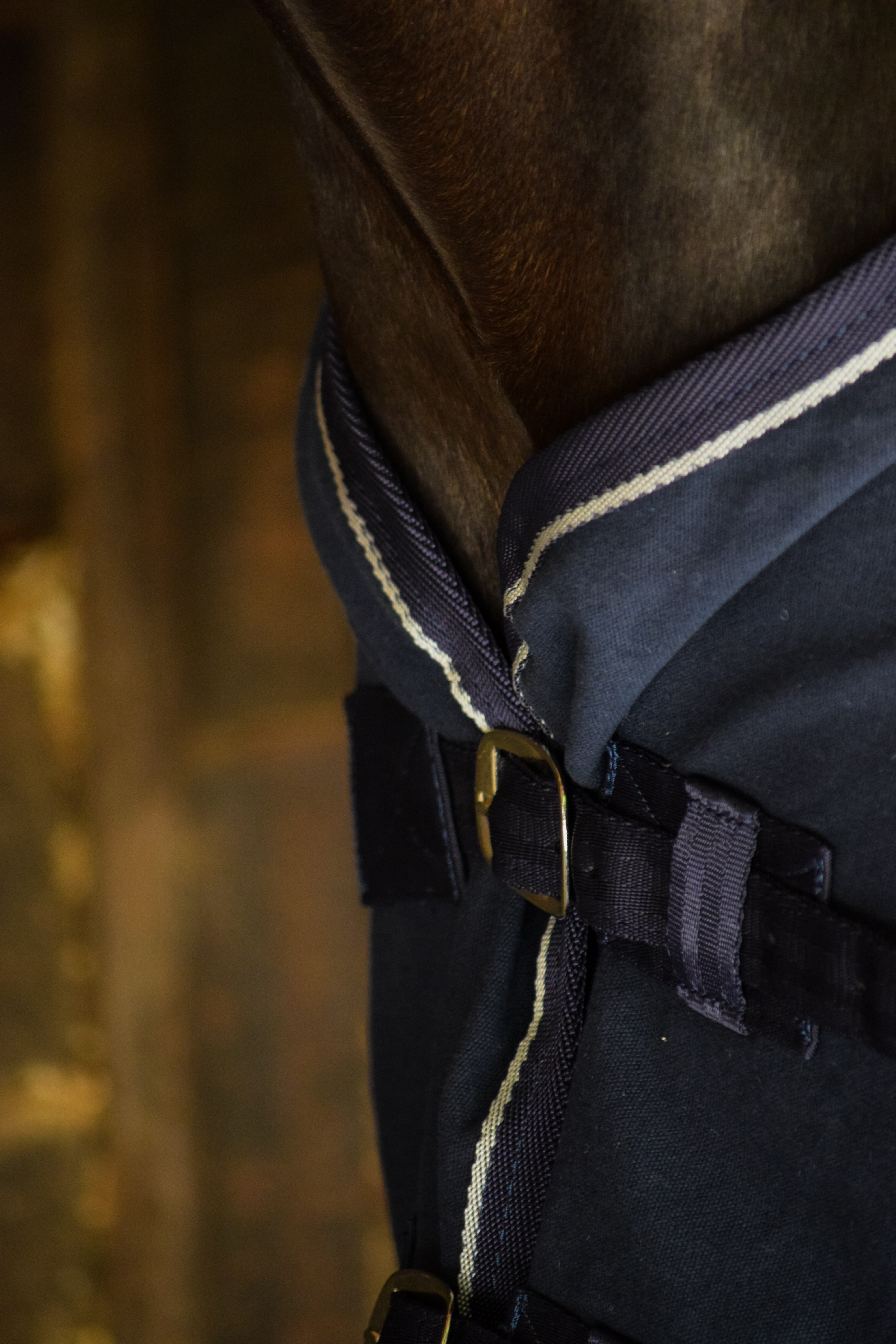 Capa de Lona 100% Algodón 18 oz – Aldani 3