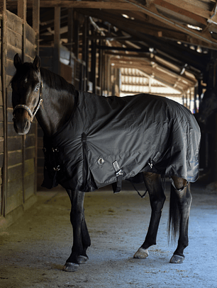 Capa de Invierno 600D Ripstop 300 g Negro | Aldani Ecuestre