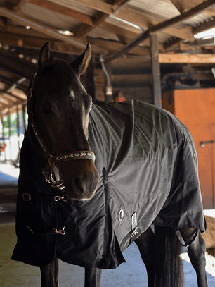 Capa de Invierno 600D Ripstop 300 g Negro | Aldani Ecuestre