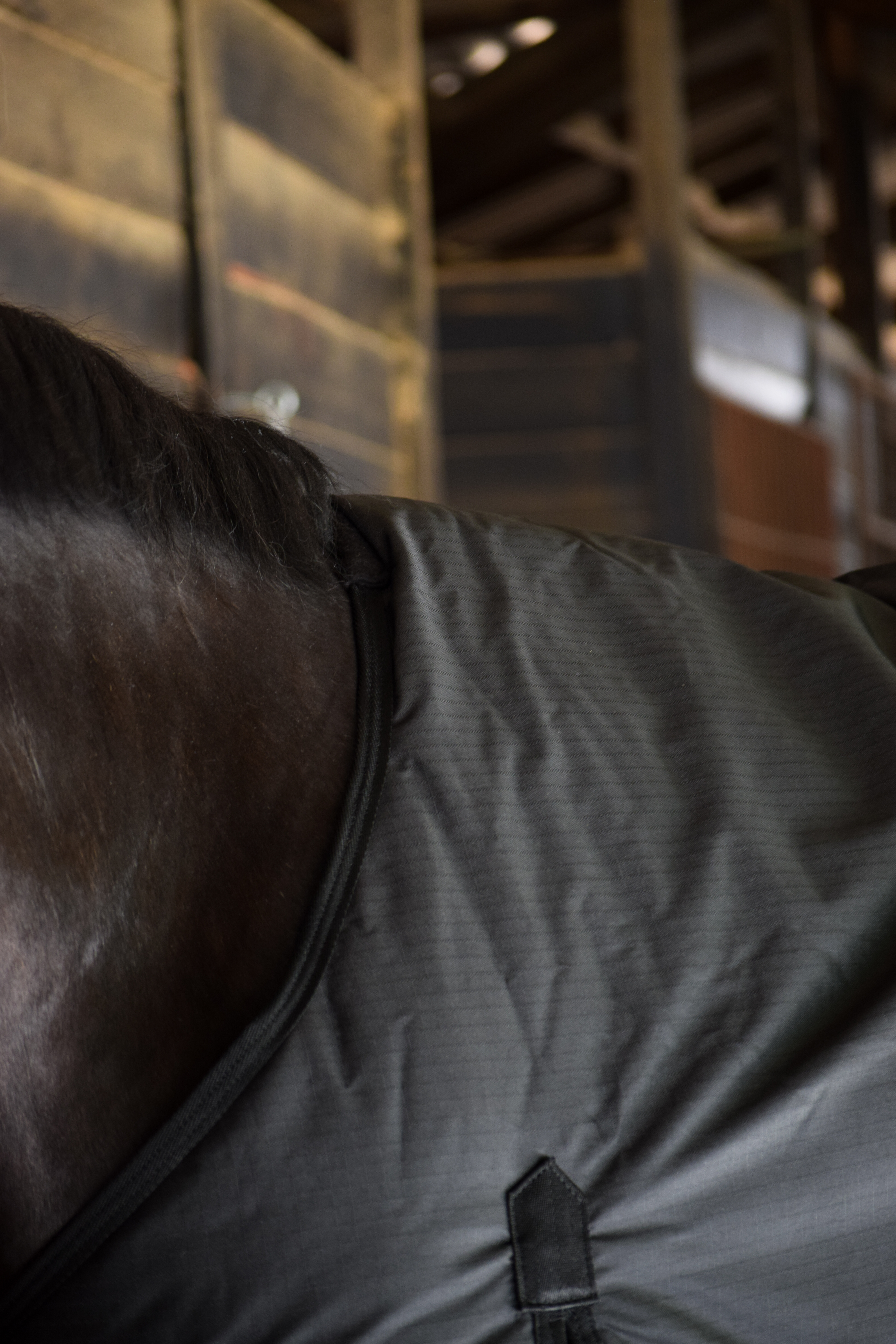 Capa de Invierno 600D Ripstop 300 g Negro | Aldani Ecuestre 3