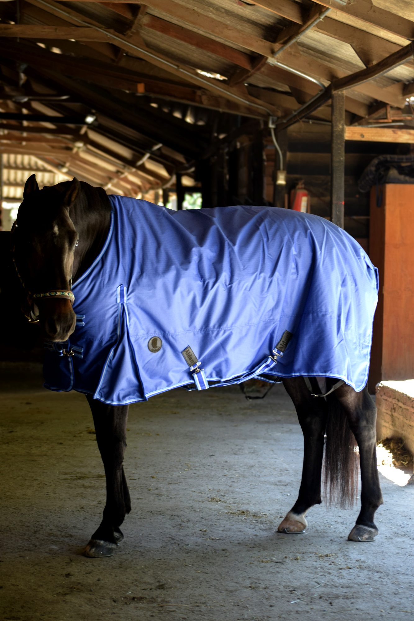 Capa de Invierno 600D Ripstop 300 g Azul Rey | Aldani Ecuestre 1