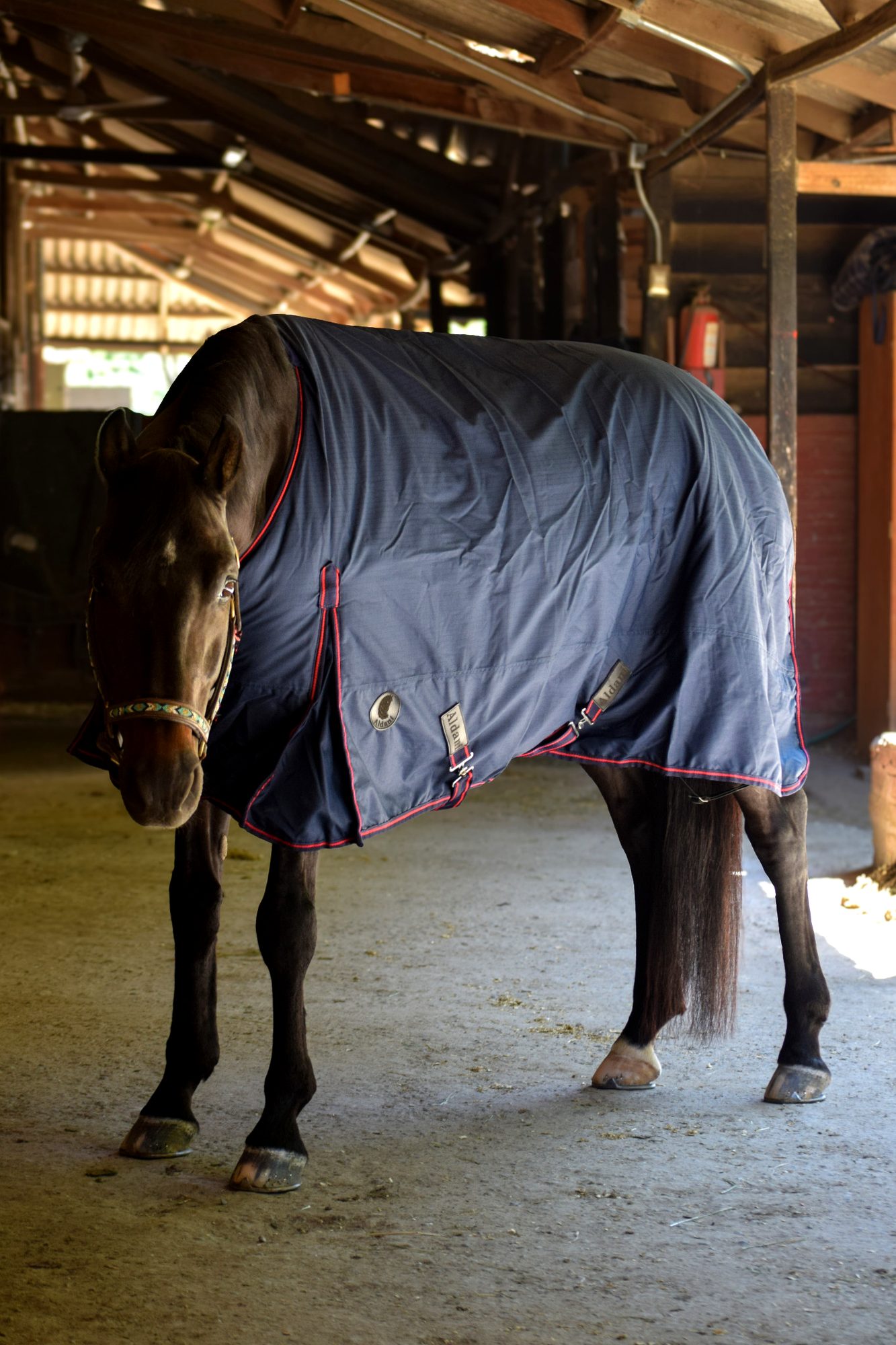 Capa de Invierno 600D Ripstop 300 g Azul Marino | Aldani Ecuestre 1