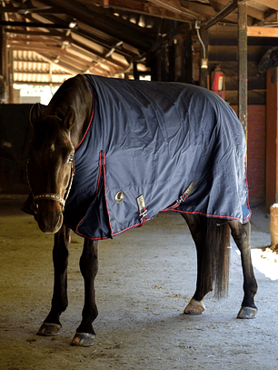 Capa de Invierno 600D Ripstop 300 g Azul Marino | Aldani Ecuestre