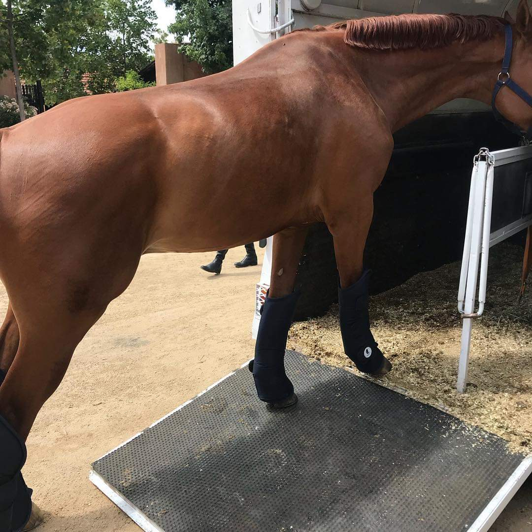 Set de Protecciones de Embarque  – 4 Piezas 4