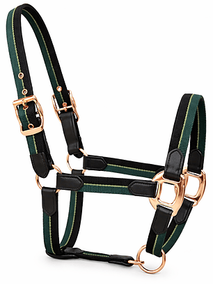 Jáquima Nylon Verde con Cuero y Herrajes Rose Gold – Full