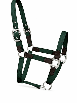 Jáquima Nylon Verde con Cuero y Herrajes Niquel