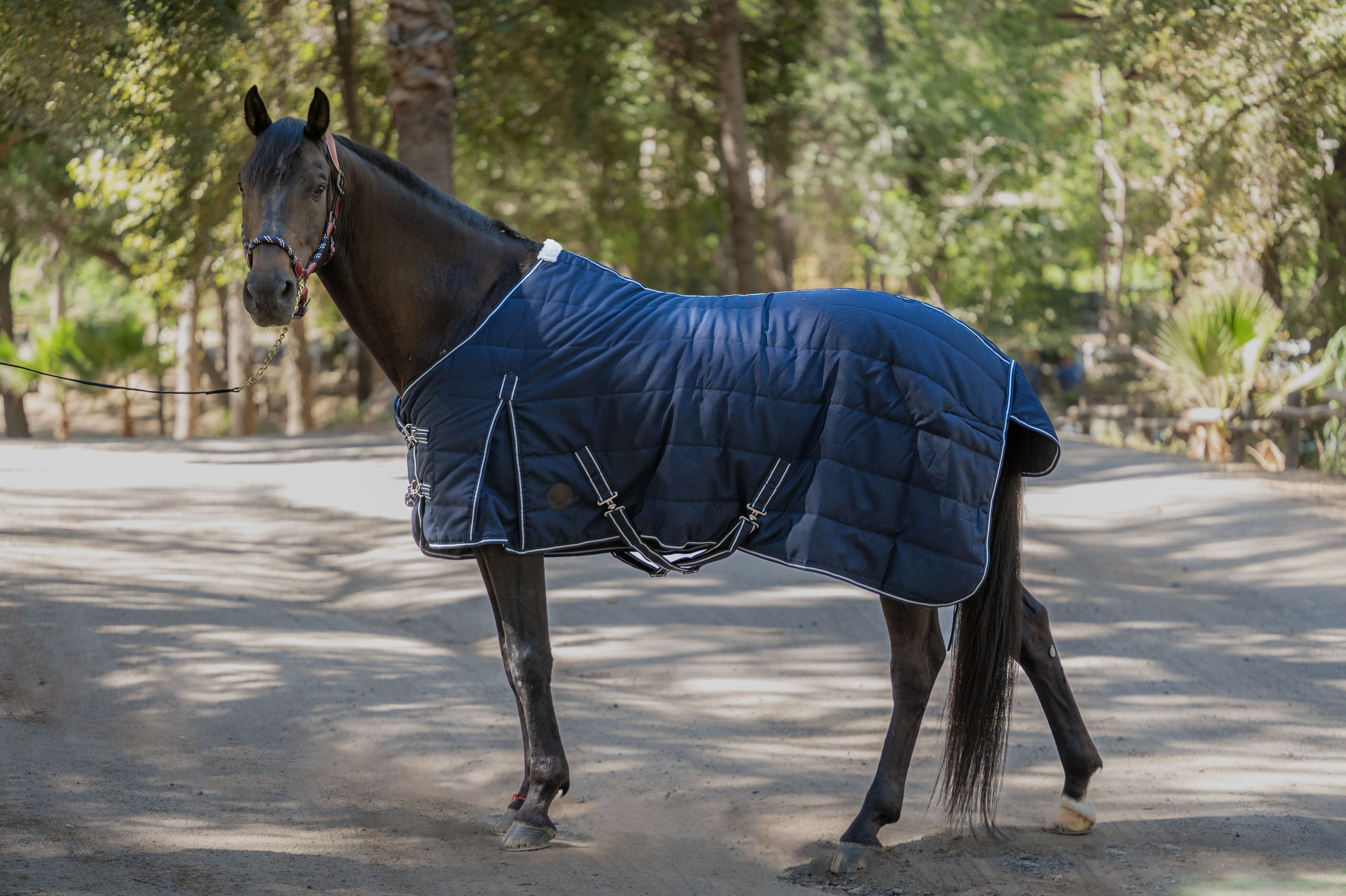 Capa de Invierno Impermeable Ripstop 600D – 200g 1