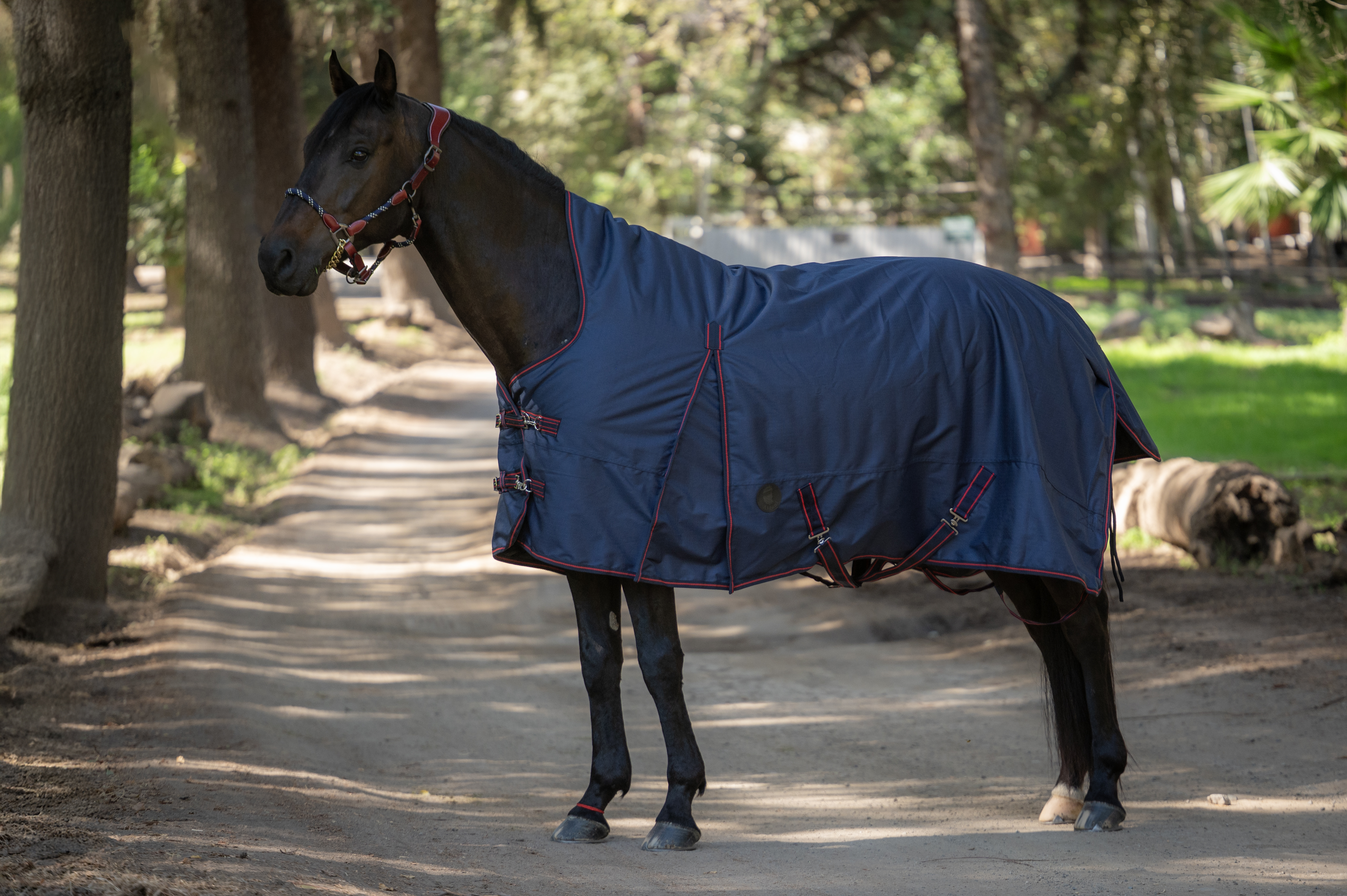 Capa de invierno con medio cuello Impermeable 1200D – 300g 1