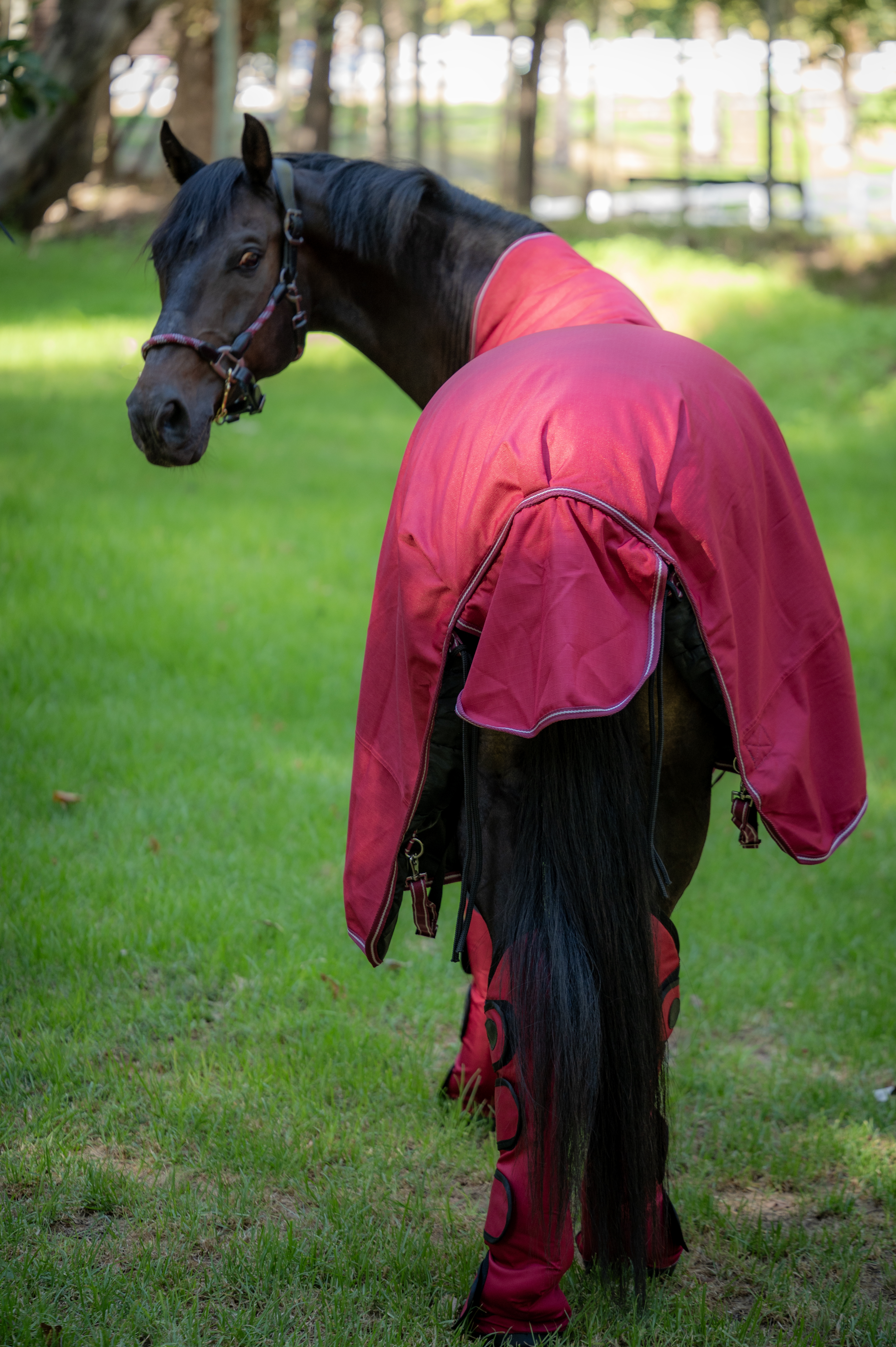 Capa de invierno con medio cuello Impermeable 1200D – 300g 3