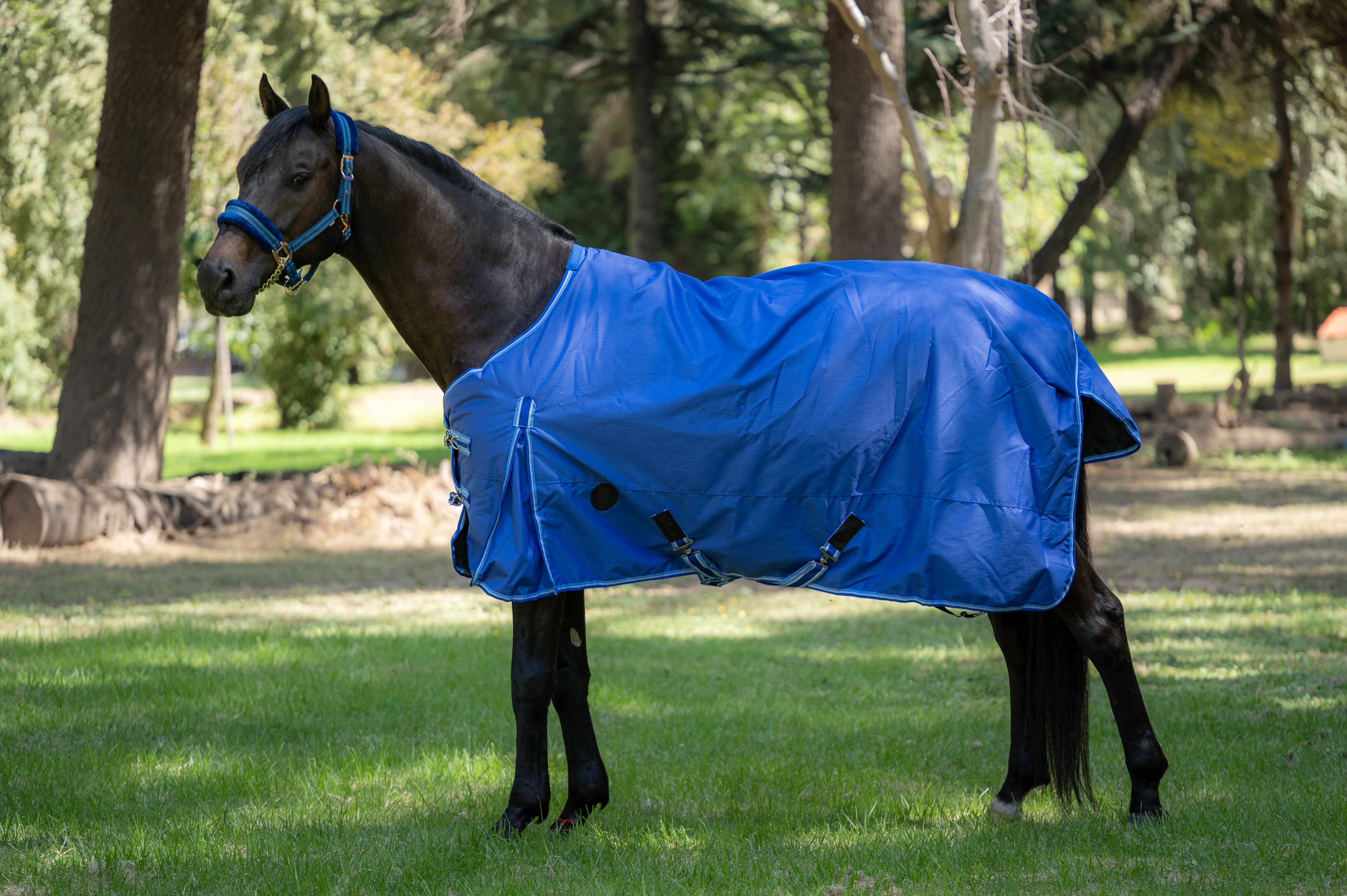 Capa de Invierno 600D Ripstop 300 g Azul Rey | Aldani Ecuestre 1