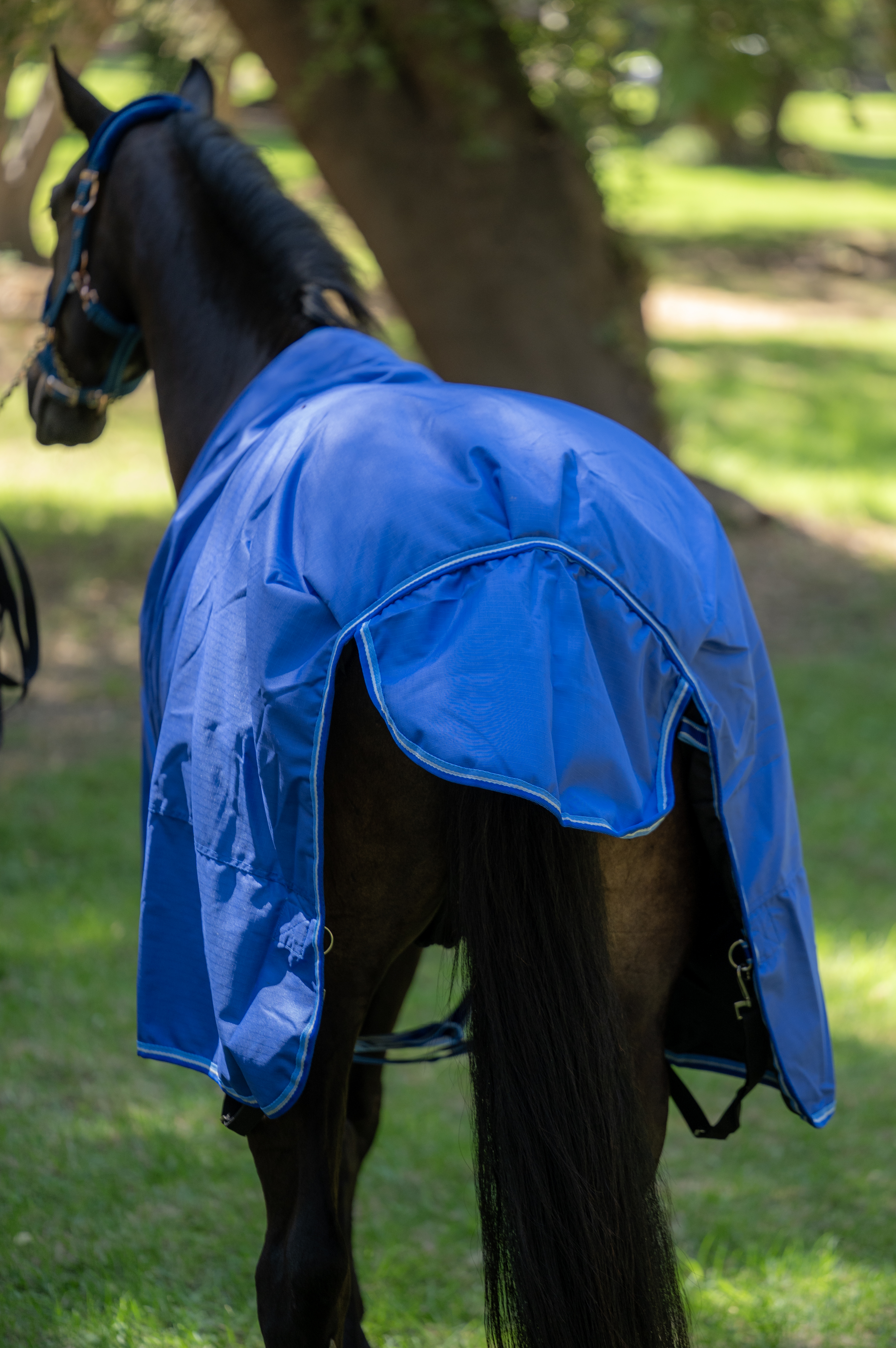 Capa de Invierno 600D Ripstop 300 g Azul Rey | Aldani Ecuestre 2