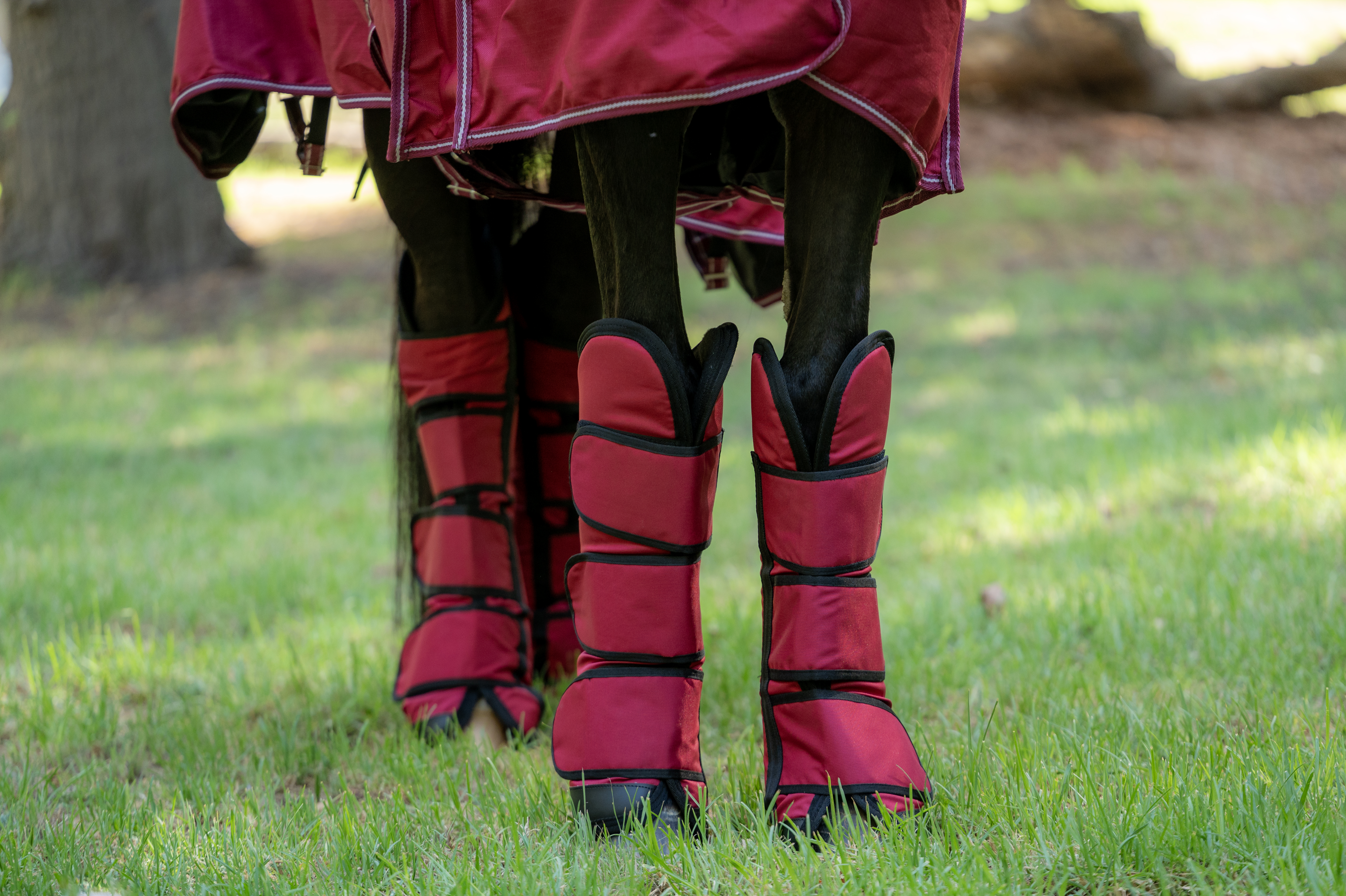 Set de Protecciones de Embarque con aplicaciones de cuero – 4 Piezas 1