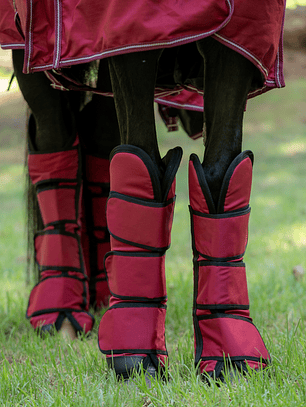 Set de Protecciones de Embarque con aplicaciones de cuero – 4 Piezas