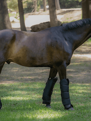 Set de Protecciones de Embarque con aplicaciones de cuero – 4 Piezas