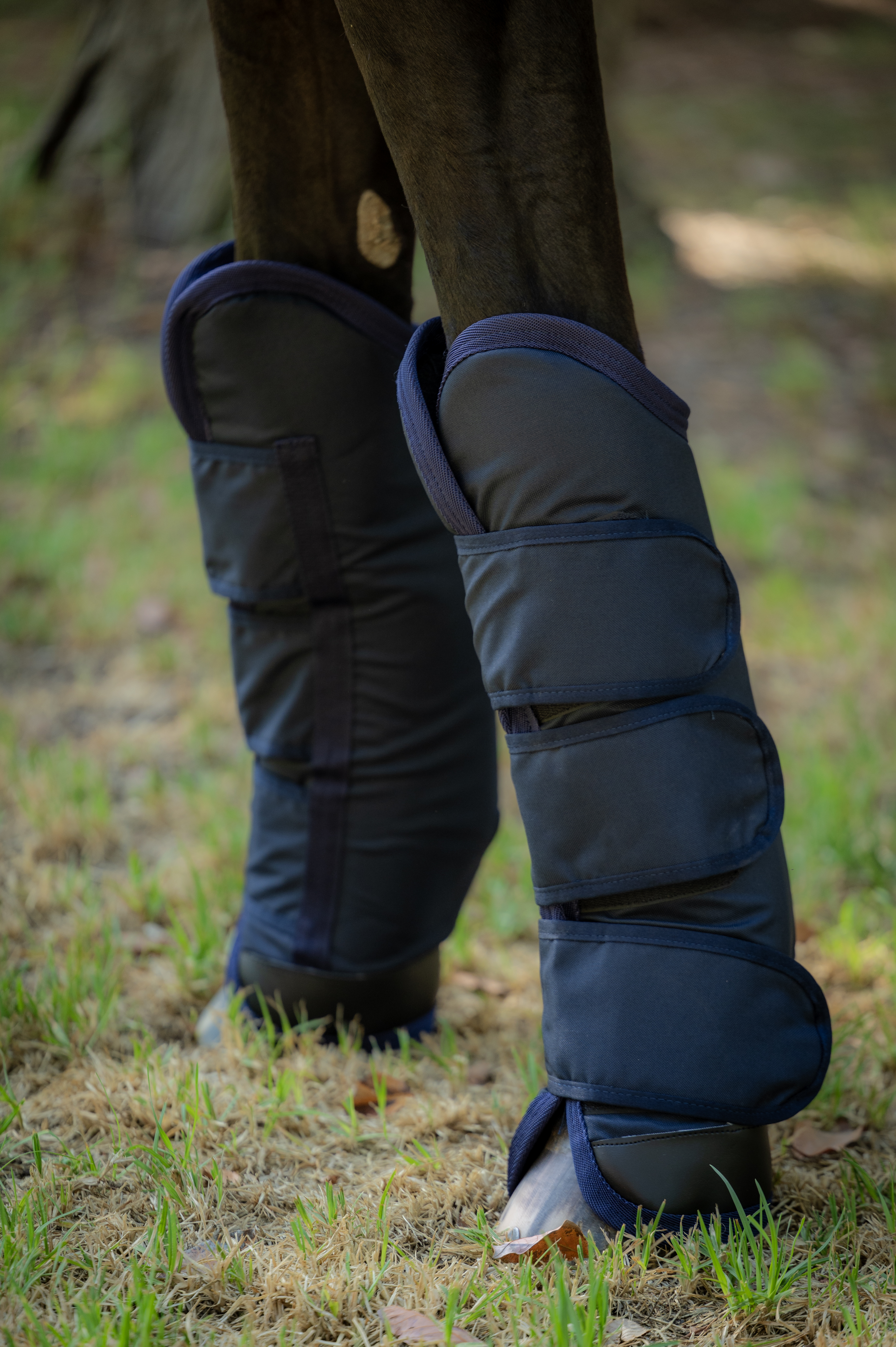 Set de Protecciones de Embarque con aplicaciones de cuero – 4 Piezas 3