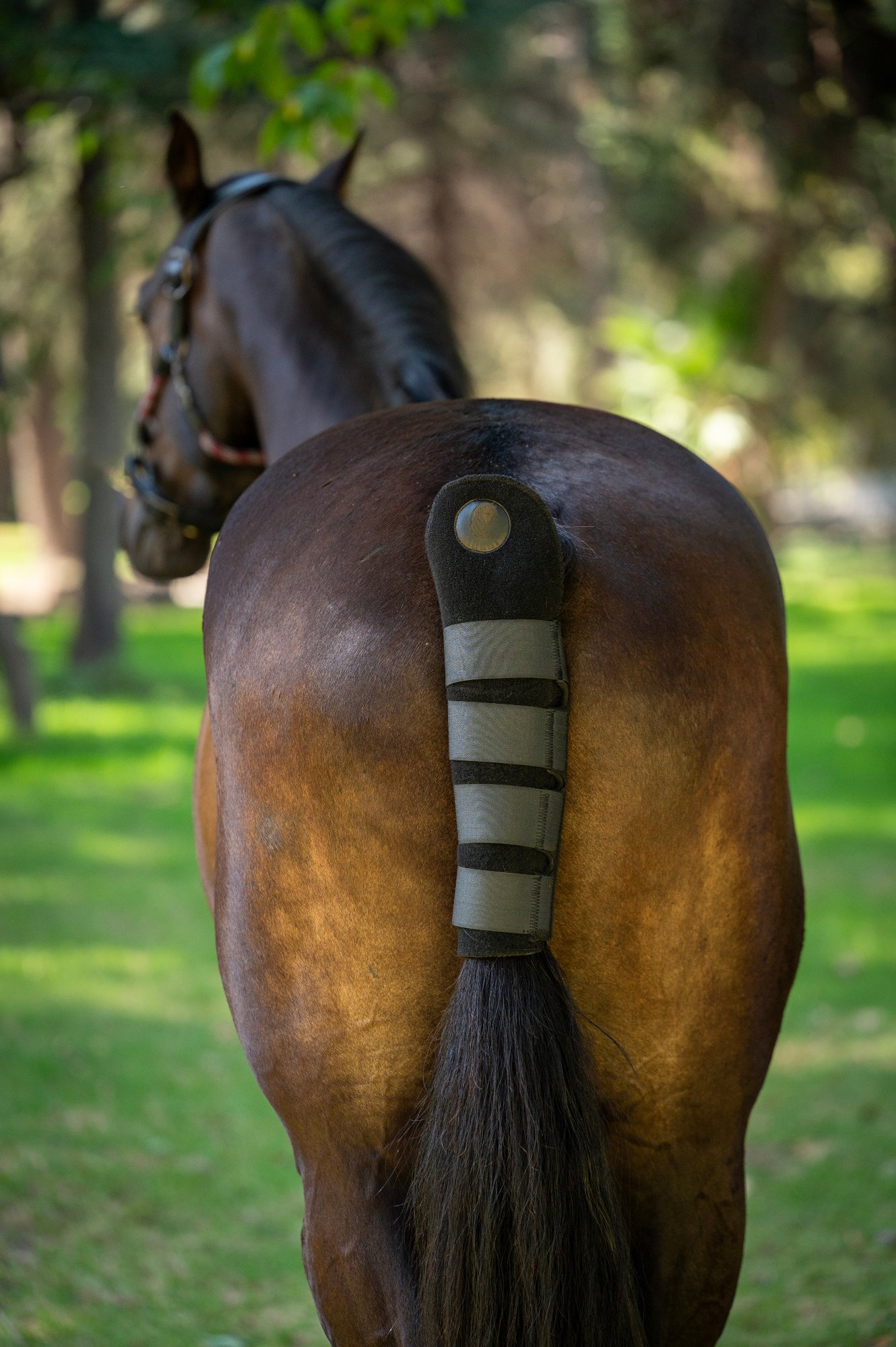 Protector de Cola en Neopreno - colero 1