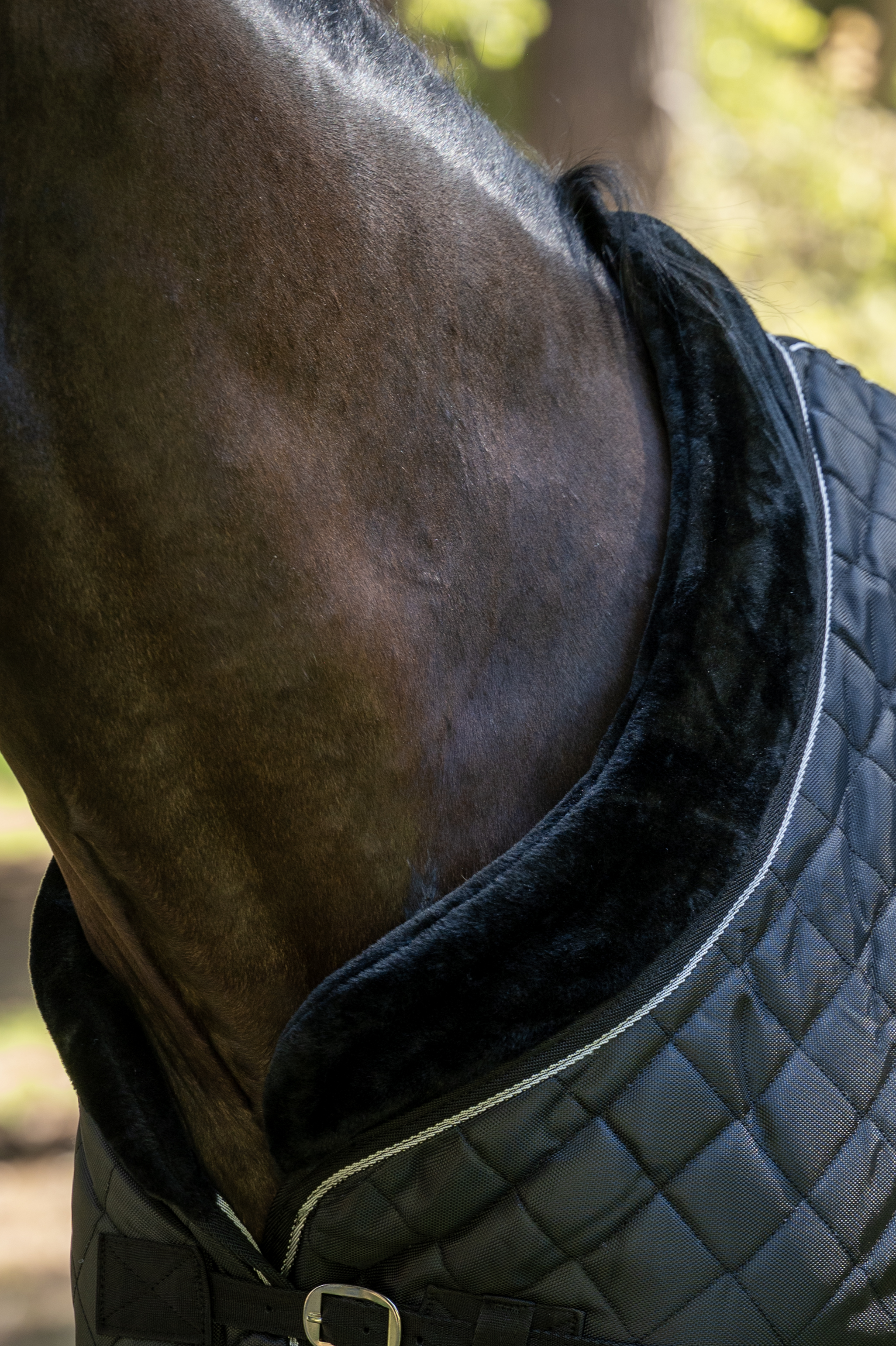 Capa de Establo 420D con Forro de Piel Sintética – 200 g 4