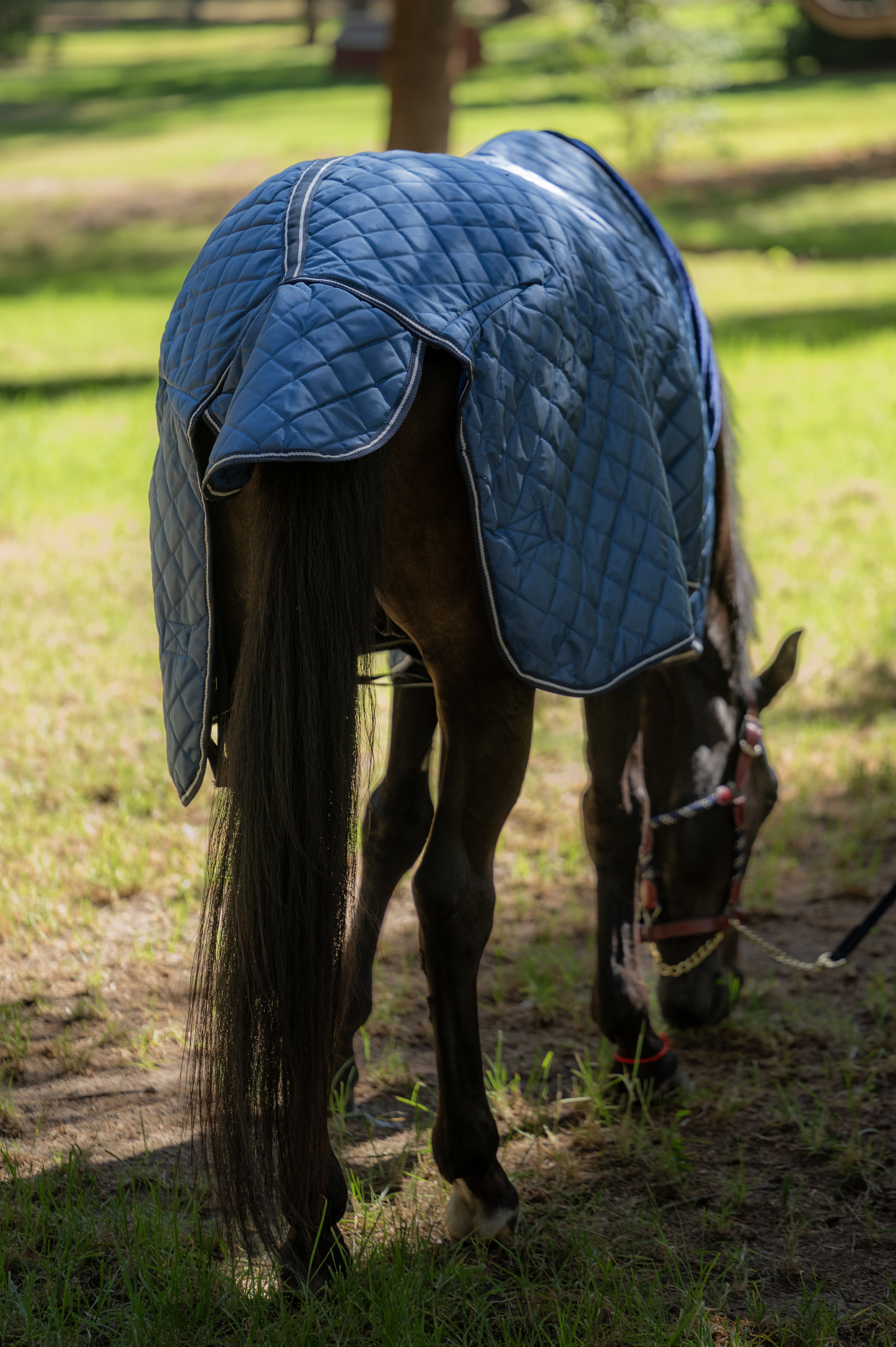 Capa de Establo 420D con Forro de Piel Sintética – 200 g 3