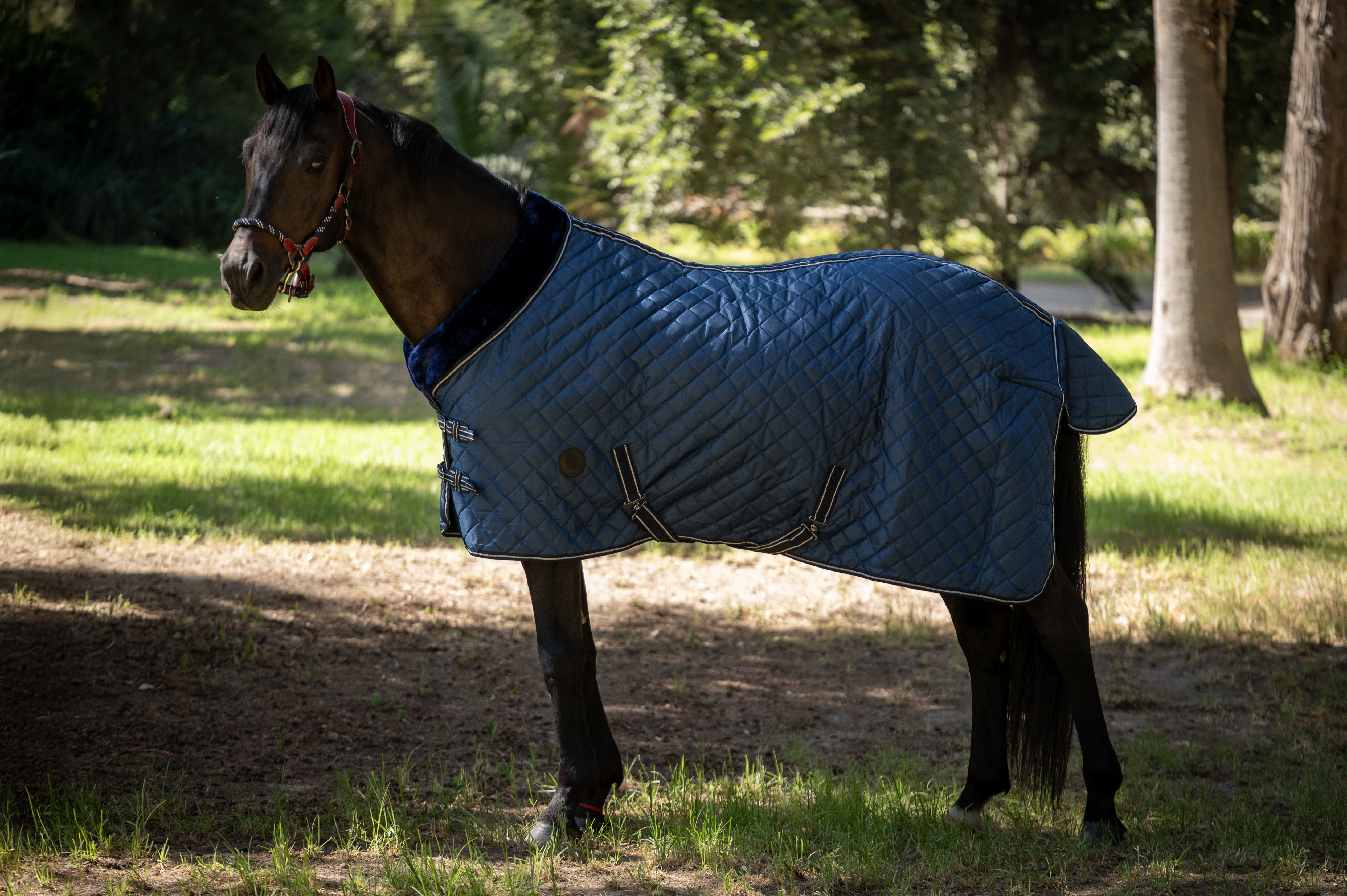 Capa de Establo 420D con Forro de Piel Sintética – 200 g 1