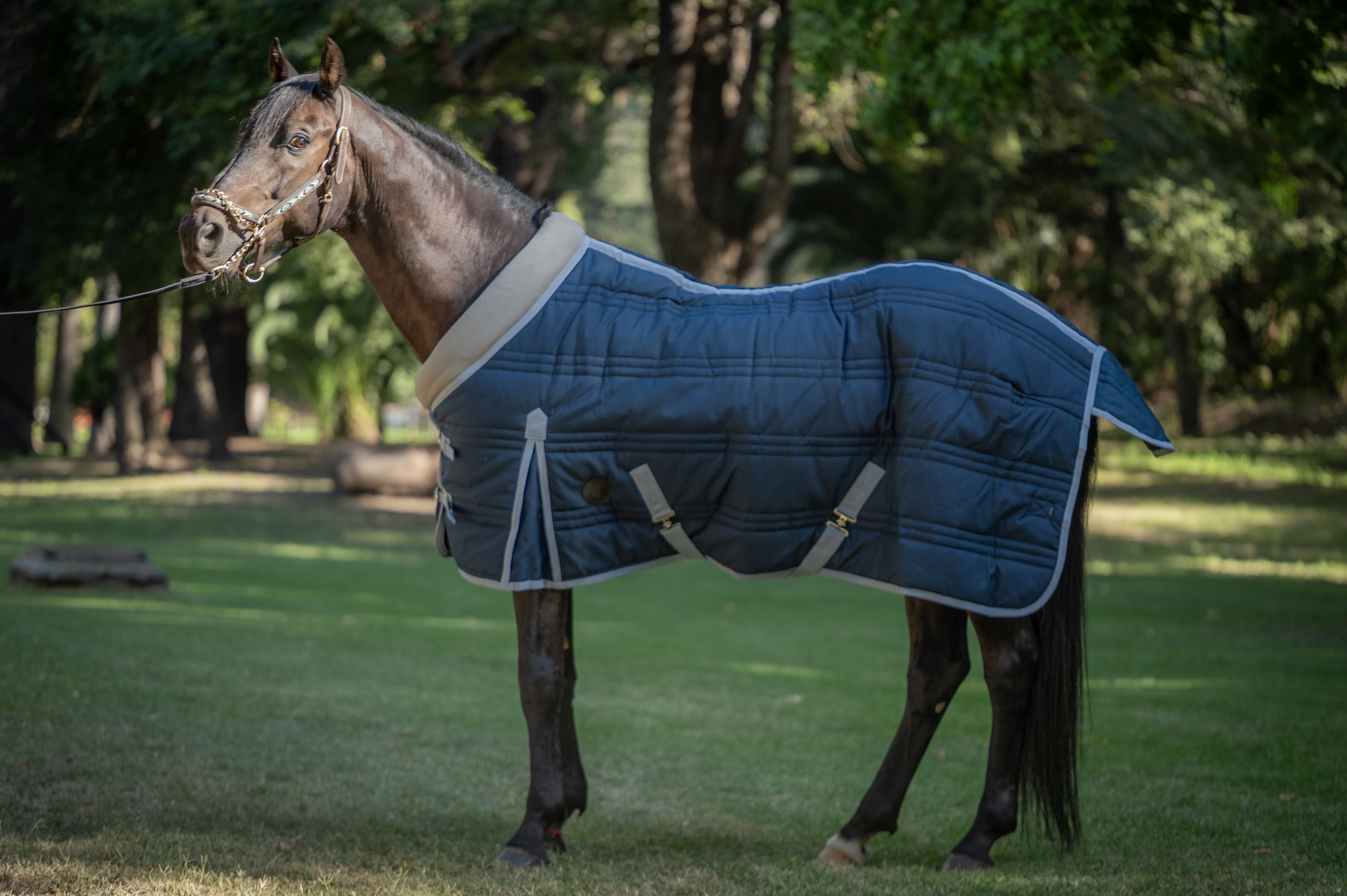 Capa de Pesebrera Ripstop 600D 400 g con Cuello de Polar | Aldani 1