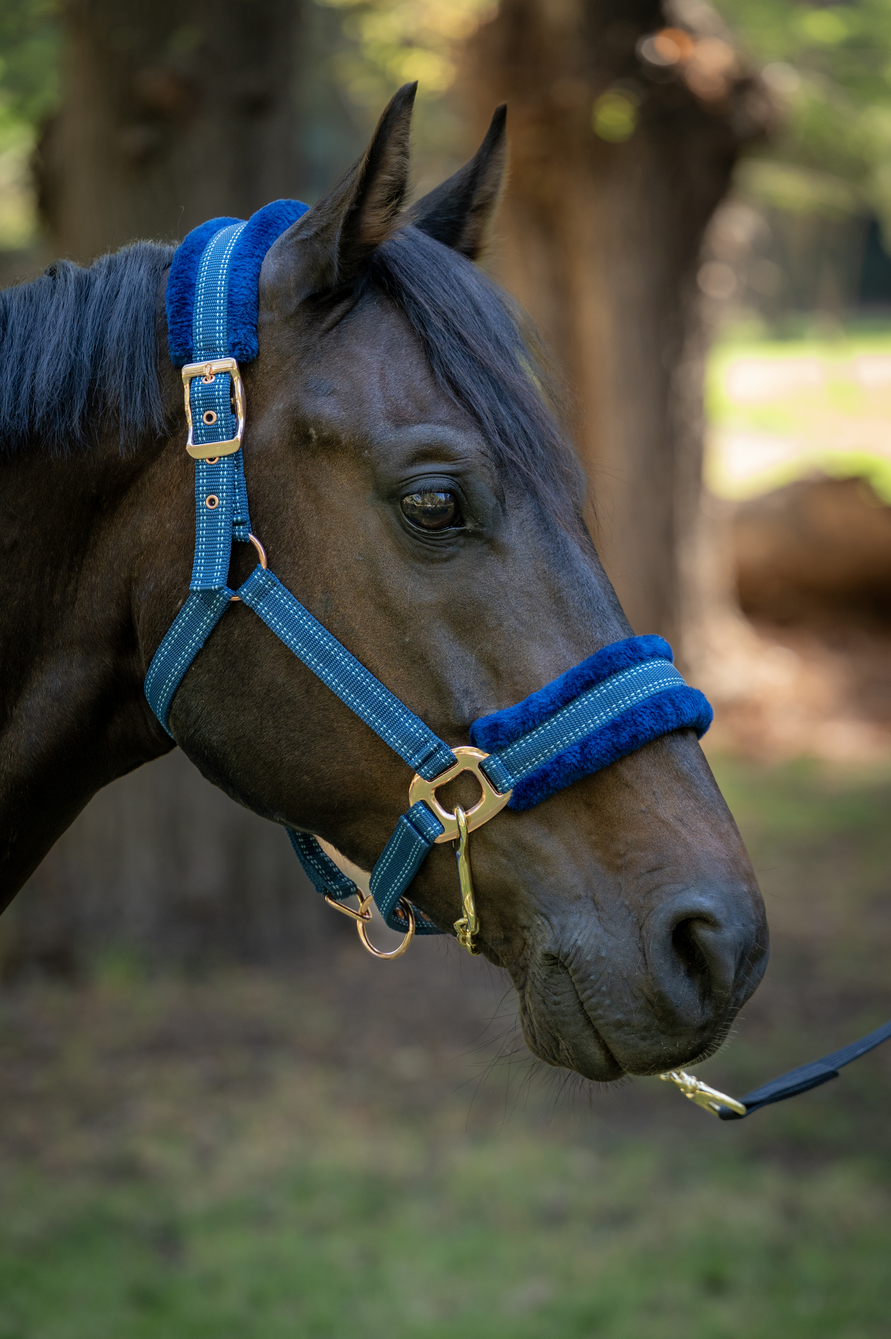 Jáquima Nylon con Piel Sintética y Herrajes Rose Gold 2