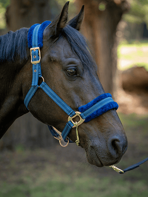 Jáquima Nylon con Piel Sintética y Herrajes Rose Gold