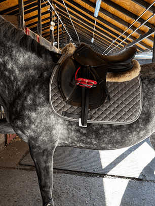 Mandil Clásico Aldani – Gris con Cordones Blanco y Plata