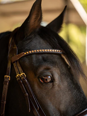 Frontalera de Cuero con Cristales BBO-BB-15