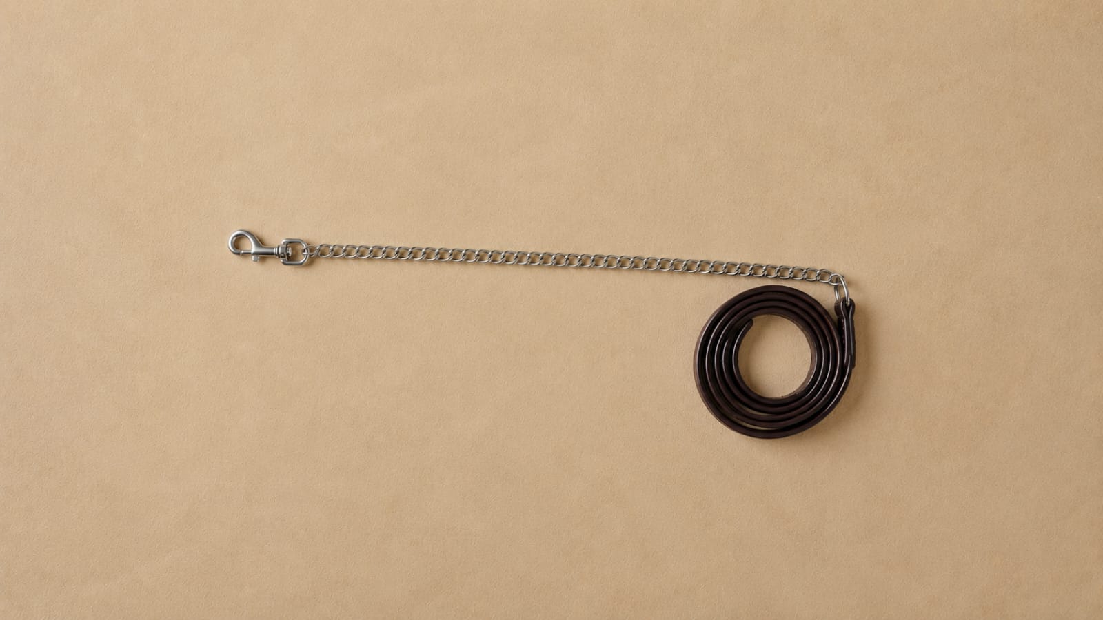 CABESTRO DE CUERO + CADENA 1