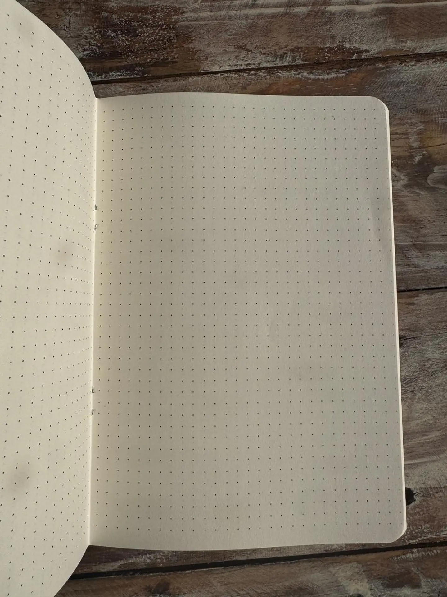 Libretas 40 paginas 5