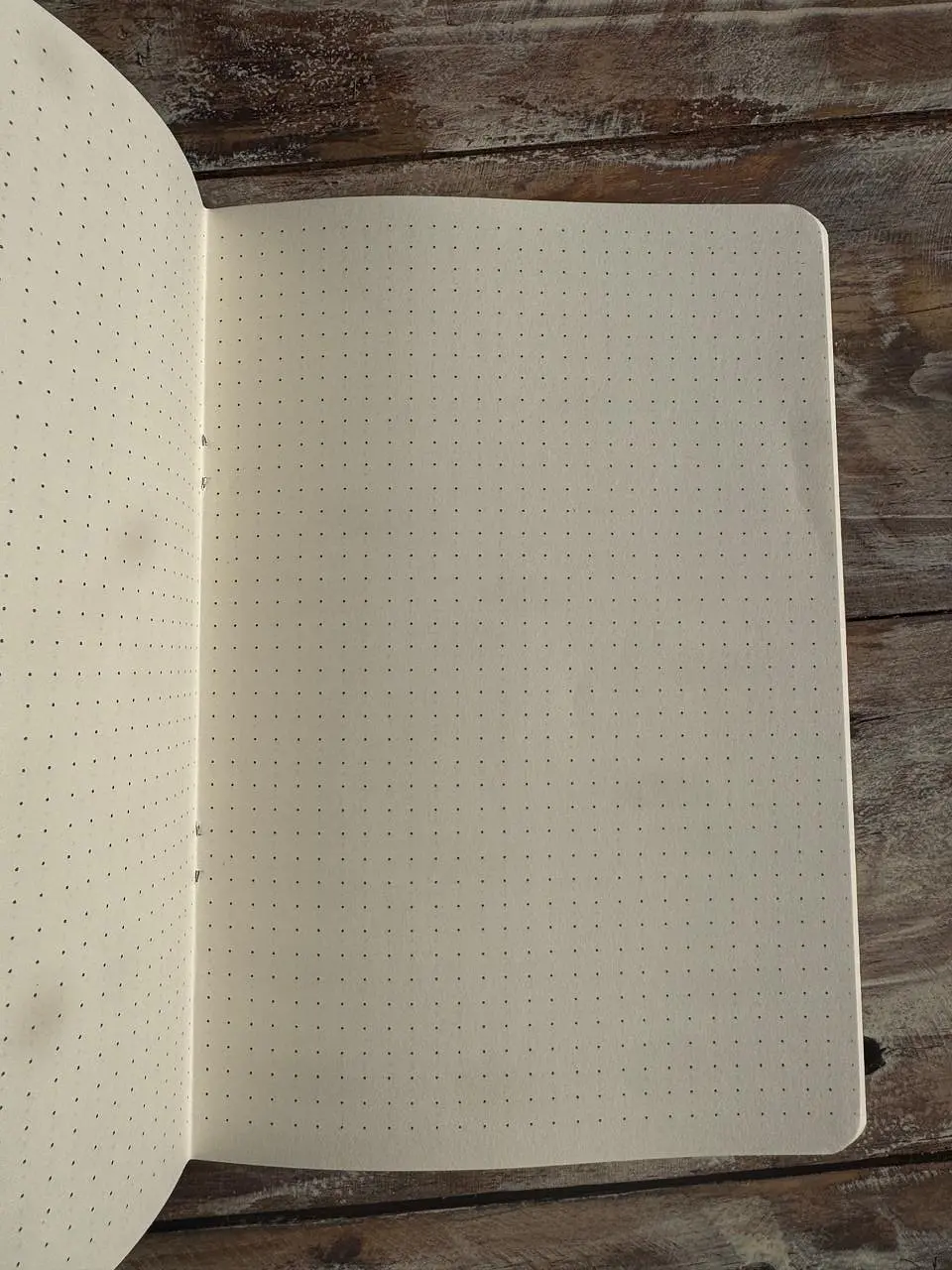 Libretas 40 paginas 5