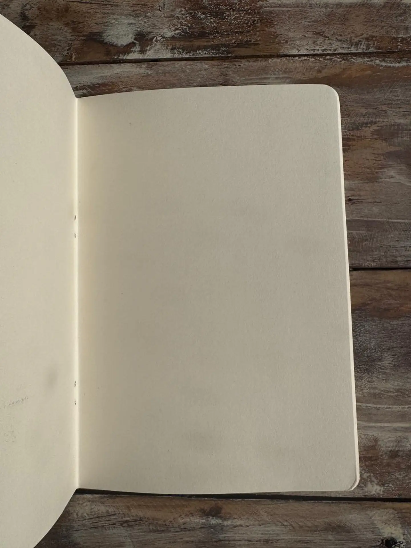 Libretas 40 paginas 6