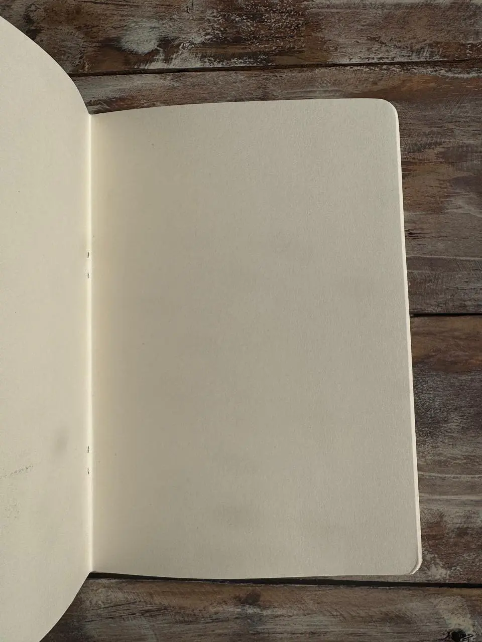 Libretas 40 paginas 6