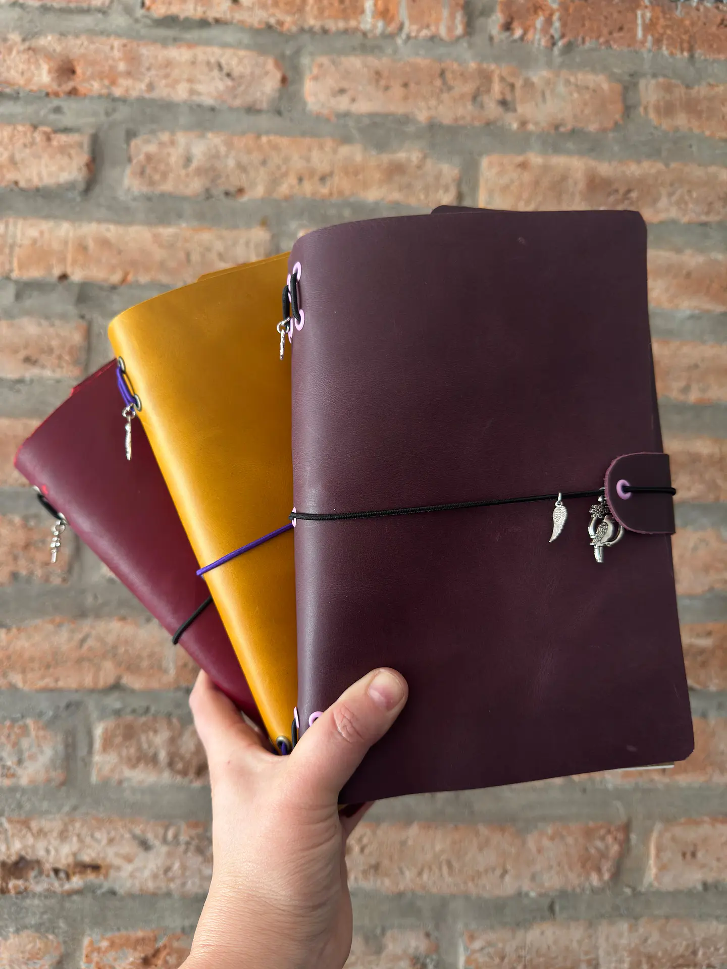 Descubre las novedades