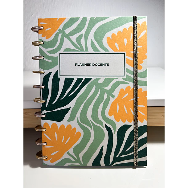 Planificador/Planner Docente 29