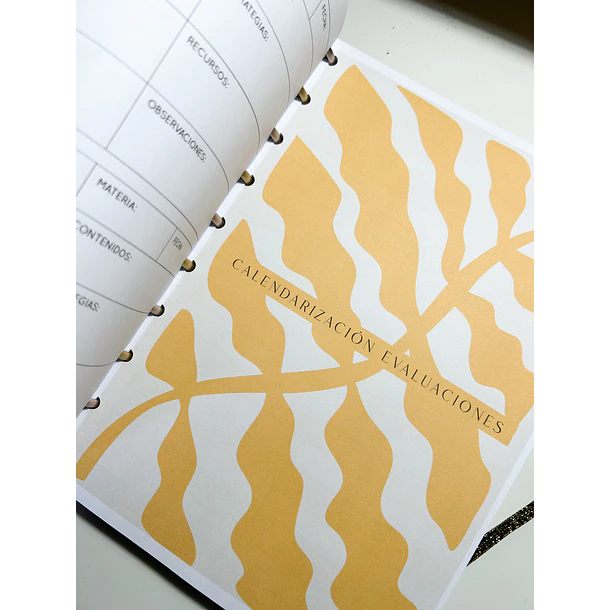 Planificador/Planner Docente 37