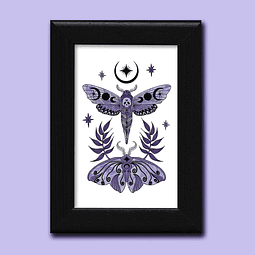 Print Enmarcado - Moon Moth