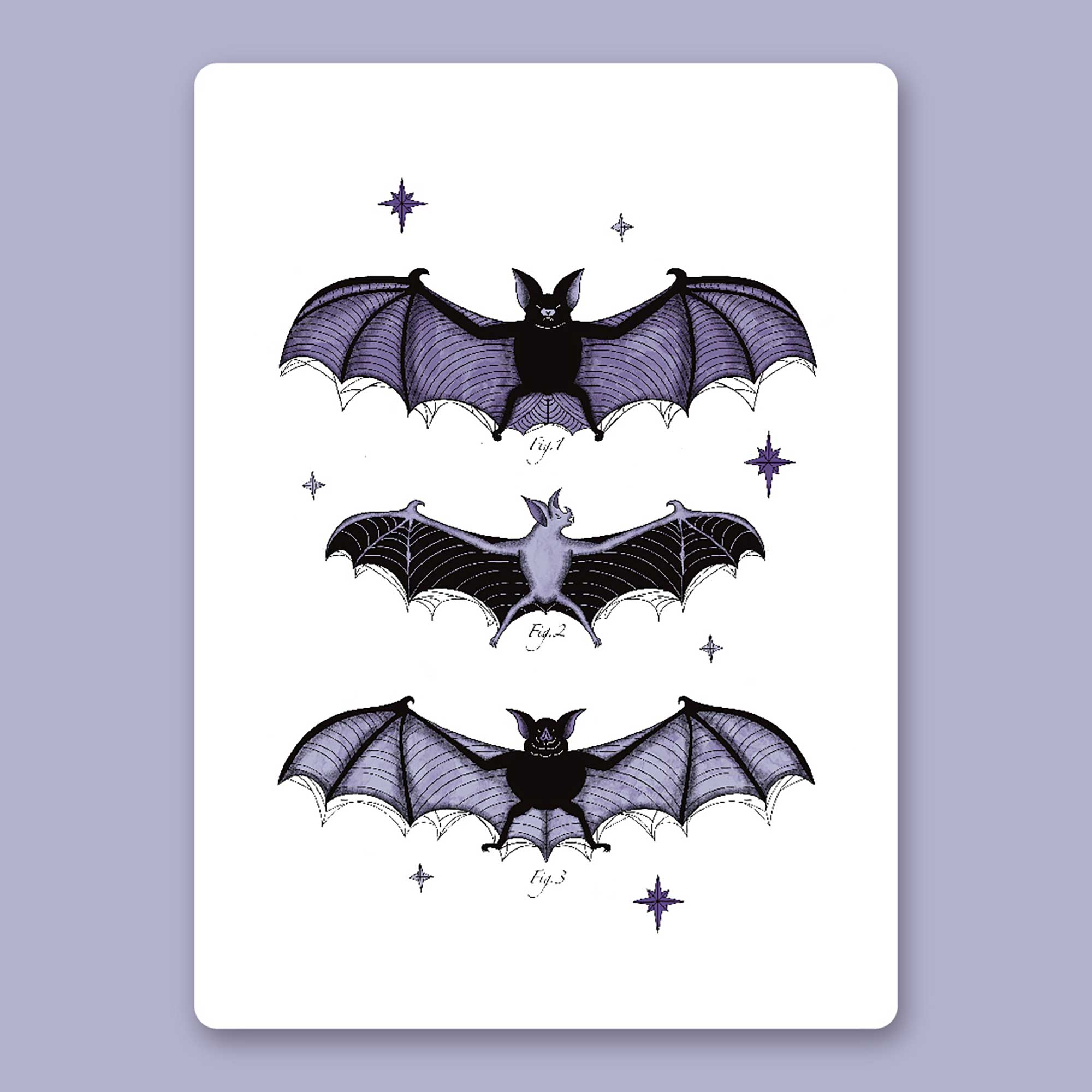 Prints - Bats