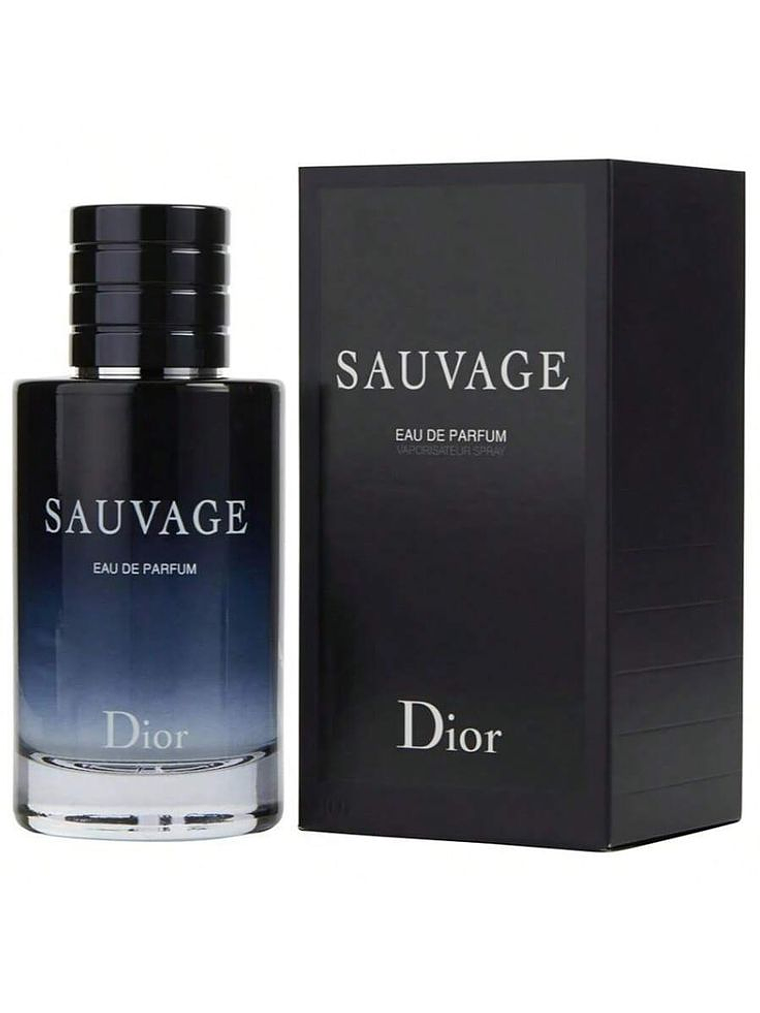 SAUVAGE DIOR 1
