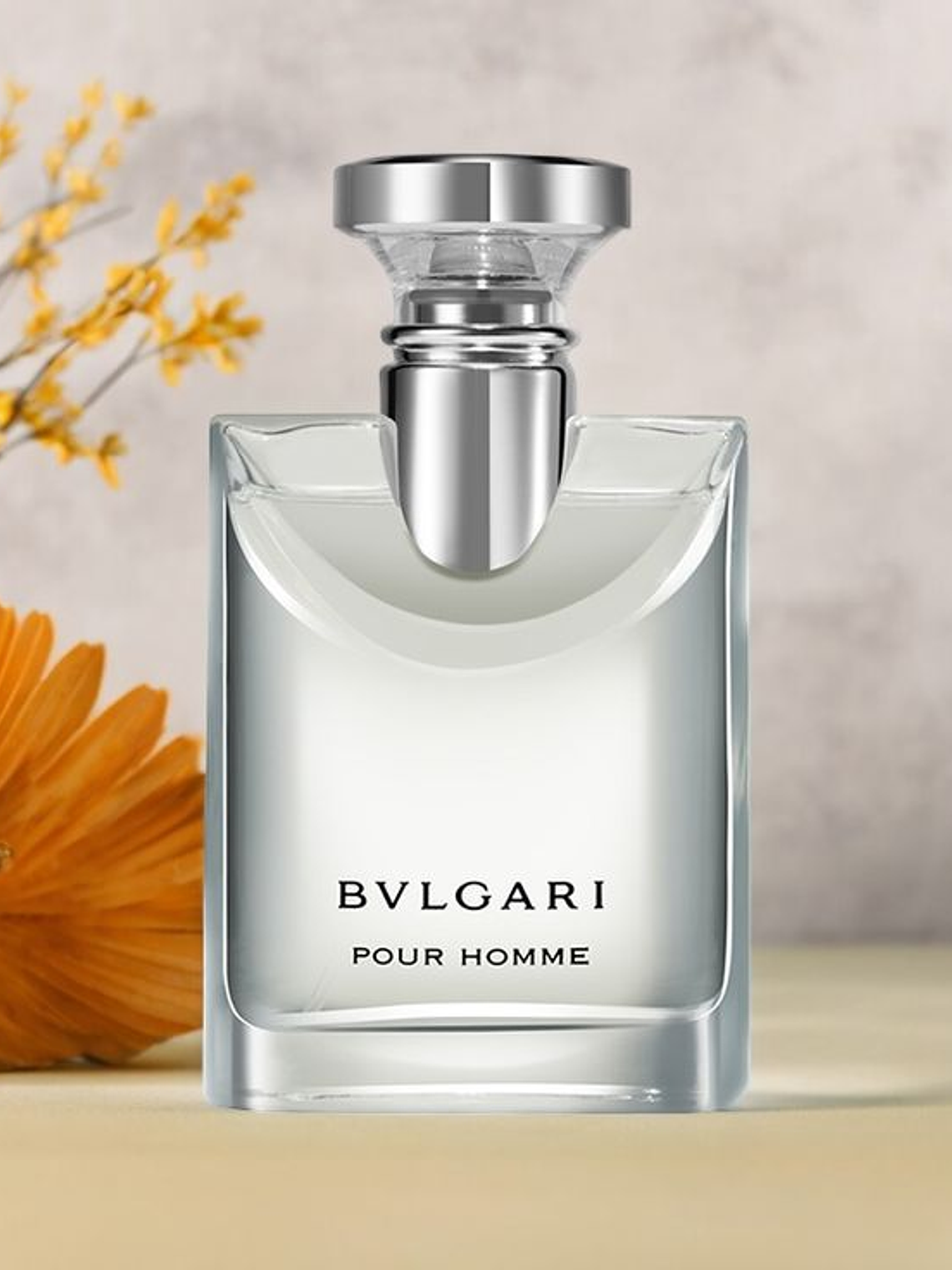 BVLGARI POUR HOMME  3