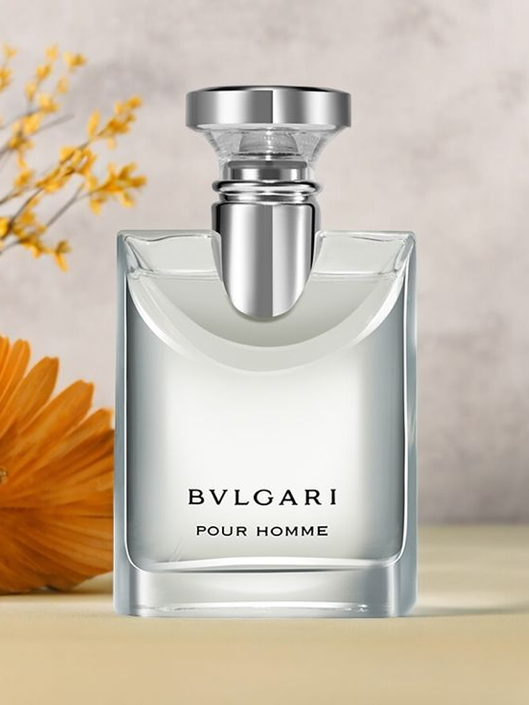 BVLGARI POUR HOMME  3