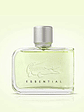 LACOSTE ESSENTIAL - Miniatura 2